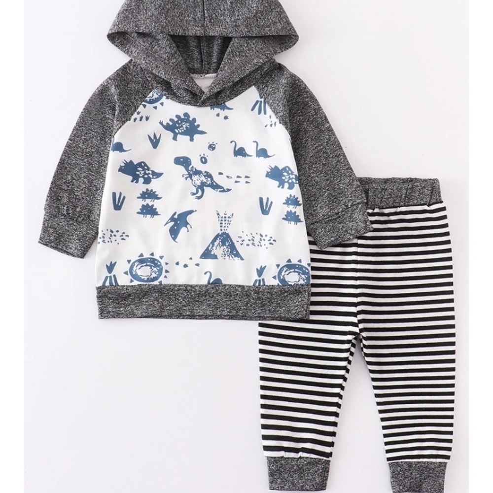 NEW- Dinosaur baby hoodie set